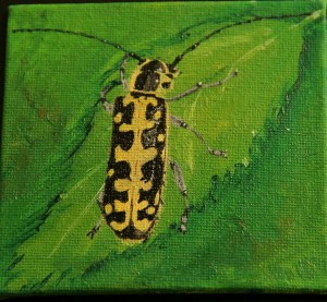 Olja på pannå 10 x 10 cm 200 kr