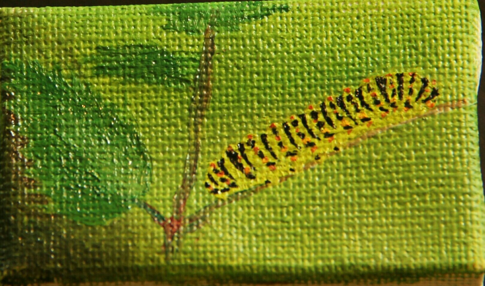 Olja på djup duk 6 x 4 cm tillsammans med "Makaonpuppa" och "Makaonfjäril" 200 kr